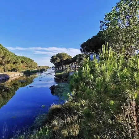 Cosy Et Elegante Aux Berges Du Ponant Appartement La Grande-Motte