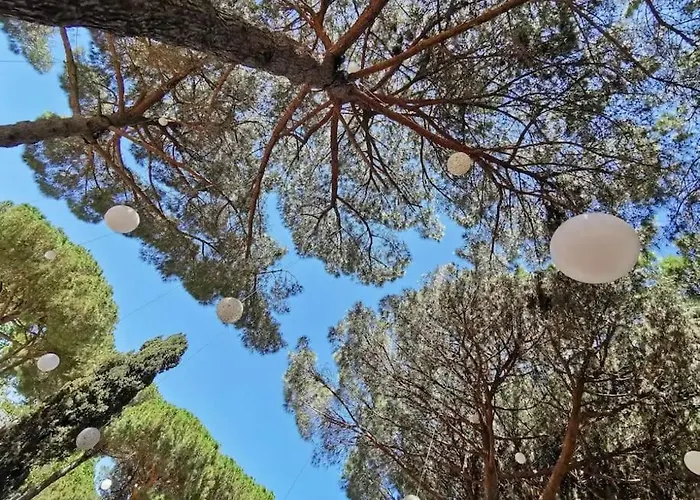 Cosy Et Elegante Aux Berges Du Ponant * La Grande-Motte